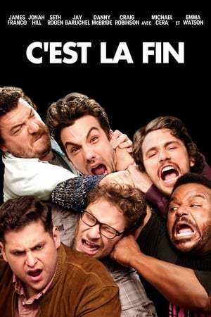 C'est la fin (2013)