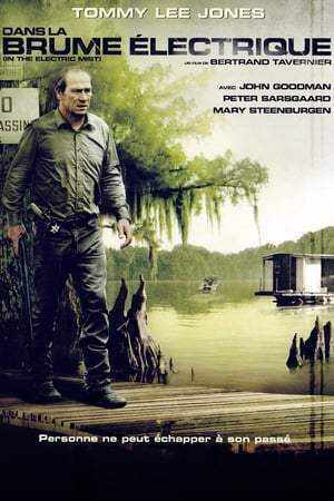 Dans la brume électrique (2009)