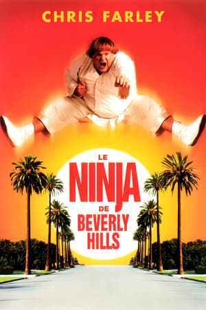 Le Ninja de Beverly Hills (1997)