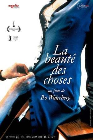 La Beauté des choses (1995)