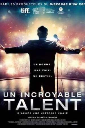 Un Incroyable talent (2013)