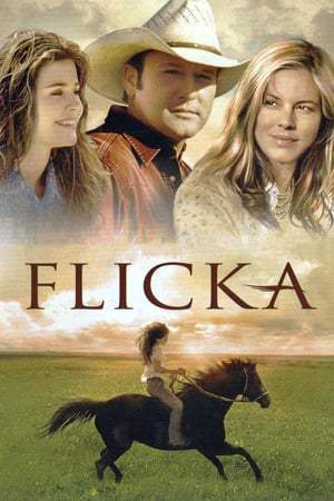 Flicka (2006)