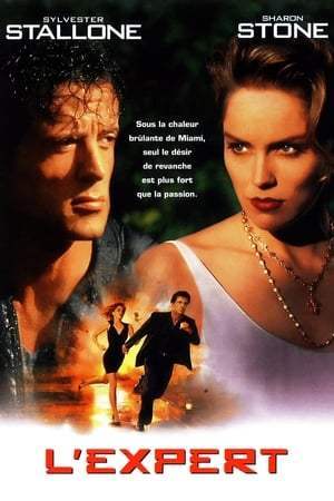 L'expert (1994)