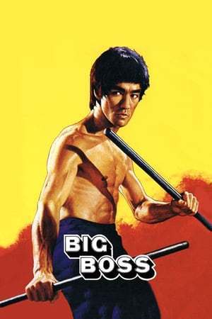 Big Boss (1971)