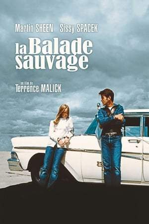 La Balade sauvage (1973)