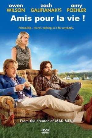 Amis pour la vie ! (2013)
