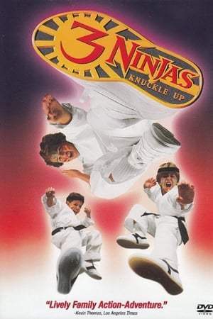 Ninja Kids 3 : Les 3 Ninjas se révoltent (1995)