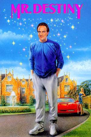 Monsieur Destinée (1990)