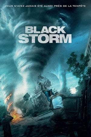 Black Storm (2014)