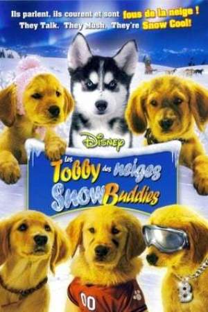 Les Copains des neiges (2008)