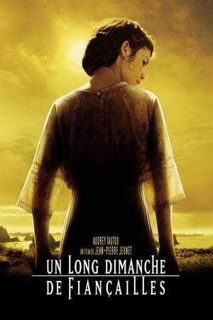 Un long dimanche de fiançailles (2004)