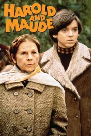 Harold et Maude (1971)