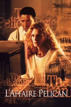 L'affaire Pélican (1993)