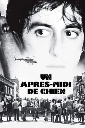 Un après-midi de chien (1975)