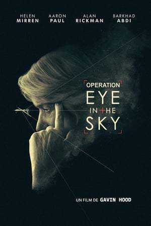 Eye In the Sky (2015)