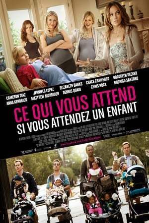 Ce qui vous attend si vous attendez un enfant (2012)