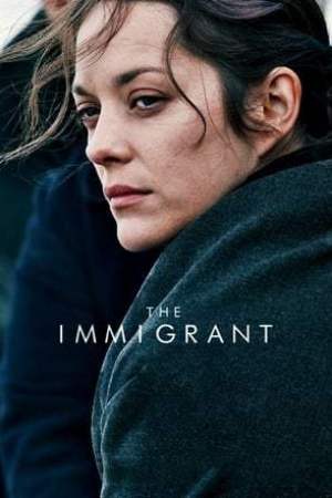 The Immigrant (2013)