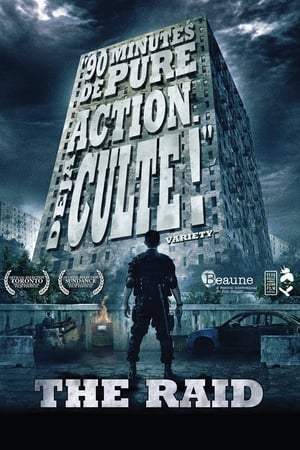 The Raid (2011)