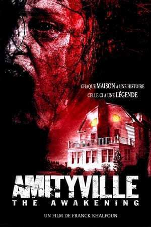 Amityville : The Awakening (2017)