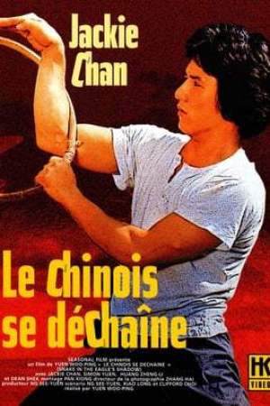 Le Chinois se déchaîne (1978)