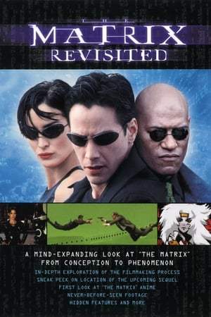 The Matrix Revisited (2001)