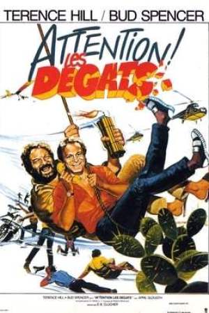 Attention les dégâts (1984)