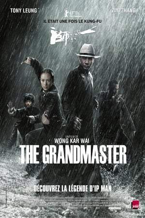 The Grandmaster (2013)