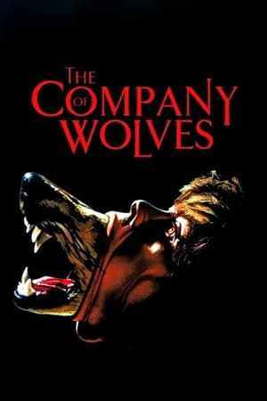 La compagnie des loups (1984)