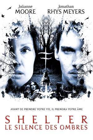 Le Silence des ombres (2010)