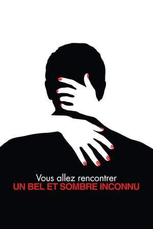 Vous allez rencontrer un bel et sombre inconnu (2010)