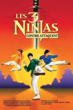 Ninja Kids 2 : Les 3 Ninjas contre-attaquent (1994)