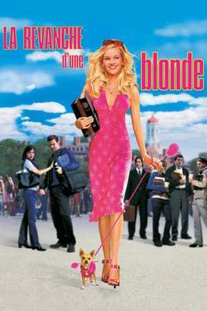 La revanche d'une blonde (2001)