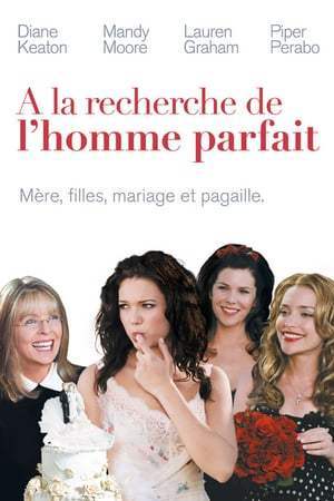 À la recherche de l'homme parfait (2007)