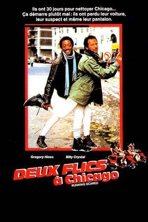 Deux flics à Chicago (1986)