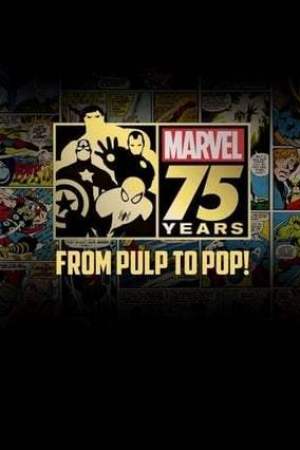 Marvel: 75 Years, From Pulp to Pop! (2014)