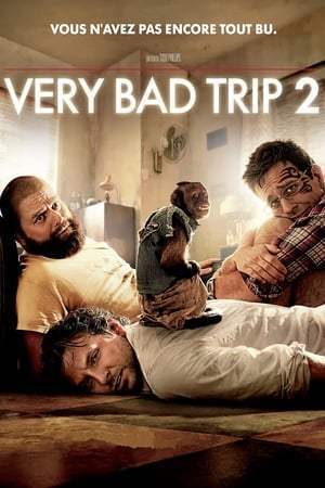 Very Bad Trip 2 (2011)