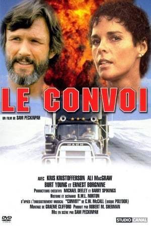 Le Convoi (1978)