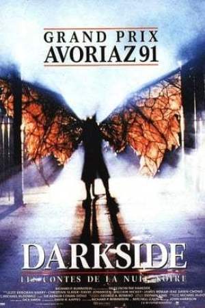 Darkside, les contes de la nuit noire (1990)