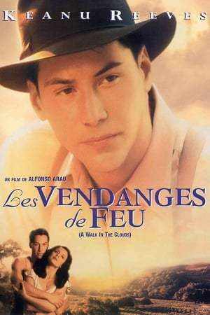 Les vendanges de feu (1995)