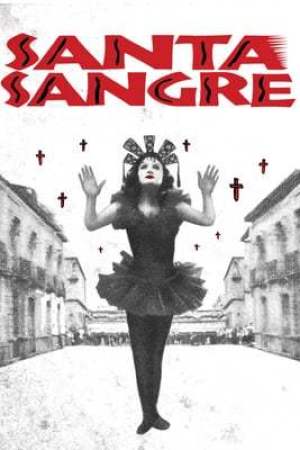 Santa sangre (1989)